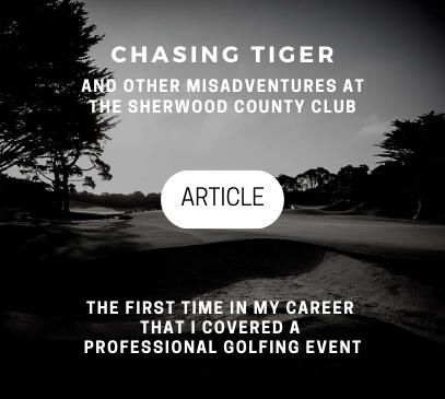 Chasing Tiger